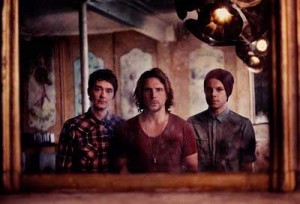 Animal Kingdom