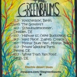 The Greenbaums The Greenbaums