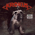 Krokus Krokus