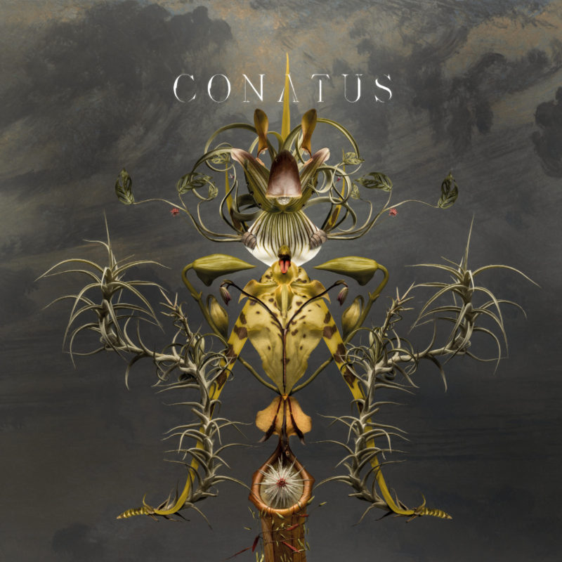 Überlebenswille – Joep Beving bringt das neue Remix-Album „Conatus“ heraus